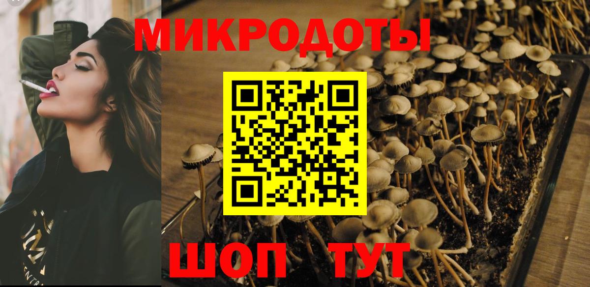 Псилоцибиновые грибы мицелий Белая Калитва
